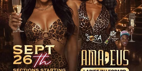 LEOPARD AFTER DARK