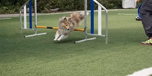 Bl\u00e5b\u00e6rstevne 9.november FULLT