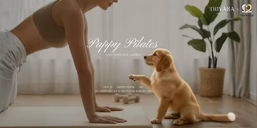 Puppy Pilates with TRIVARA