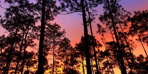 Light up the trail  \u2013 Tuesday Night Run & Connect 