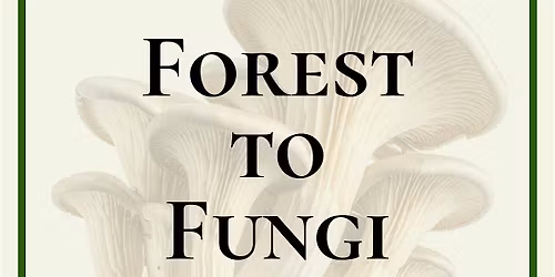 Forest to Fungi Workshop