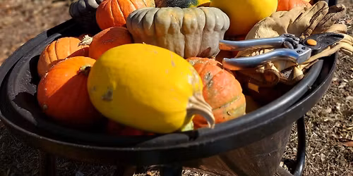 Starting a Witches Garden (November)