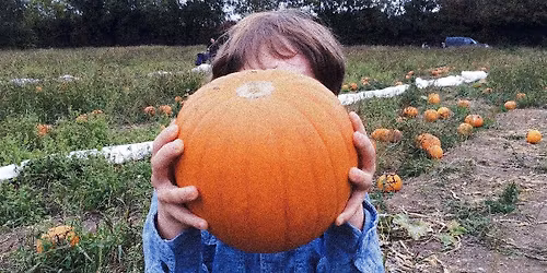 Halloween Kids Party With Games, Treats and Crafts