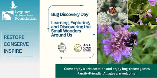 Bug Discovery Day Learning, Exploring, and Discovering the Small Wonders
