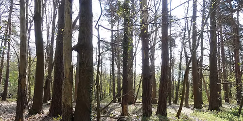 Sur les coteaux oubli\u00e9s : boucle nature \u00e0 Fiquefleur-\u00c9quainville.