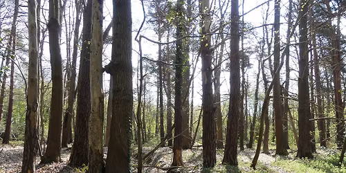 Sur les coteaux oubli\u00e9s : boucle nature \u00e0 Fiquefleur-\u00c9quainville.