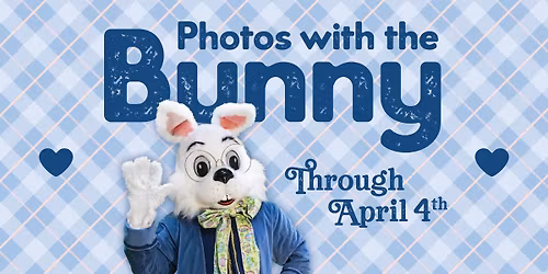 Bunny Photos at Jacksonville Mall