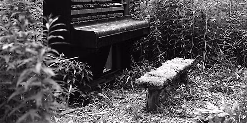 FR#301 Piano in the Woods