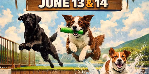 Summer Lovin\u2019