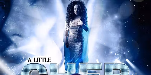 Cher Tribute 