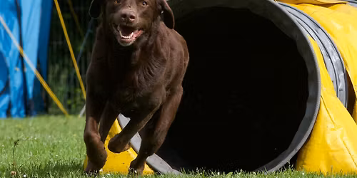 2. Hamburger Himmelfahrt Masters