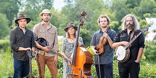 Beg, Steal or Borrow Live at the Unihog