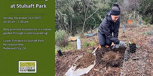 Volunteer in Redwood City: Solstice Planting at Stulsaft Park