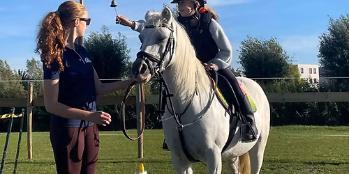 Working Equitation Clinic