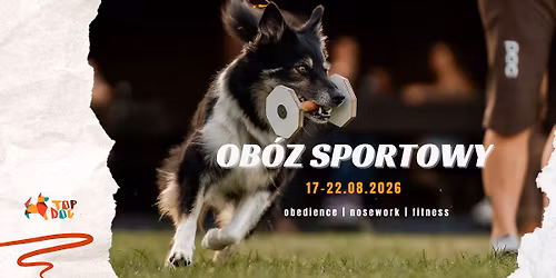 Ob\u00f3z sportowy - obedience | fitness | nosework 