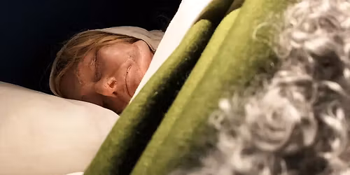 Historiedetektiverna: Den snarkande \u00e4nkans g\u00e5ta