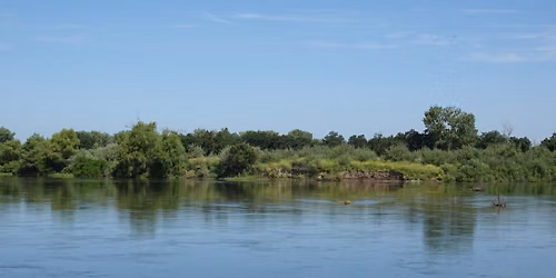 Guided Walk: Confluence Trail