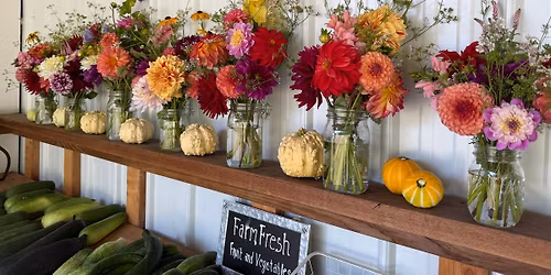 Dahlia Tuber Pop-up Sale!
