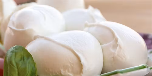 Let's Make Mozzarella & Burrata!