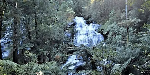 2 waterfalls at Otways rainforest (4 spots - road trip)