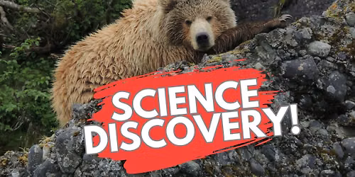 Science Discovery at Chugiak-Eagle River Library