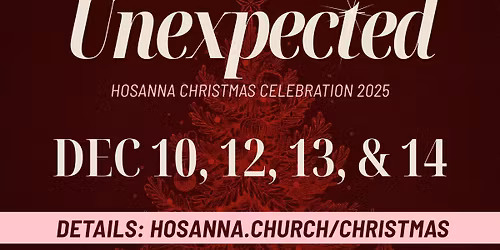 Christmas Celebration - Unexpected