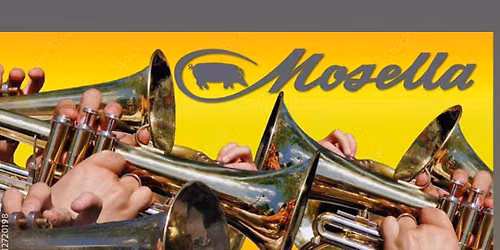 Bl\u00e4ser Wutz-Stock 2026