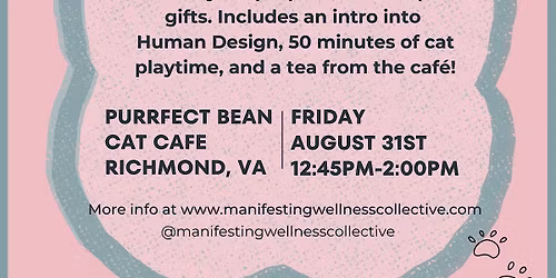 Building Confidence (and Kittens) Workshop