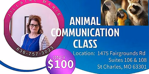 Animal Communication Class with Jillaine Marie