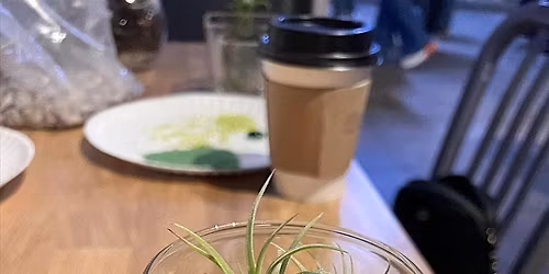 Terrarium Building Workshop