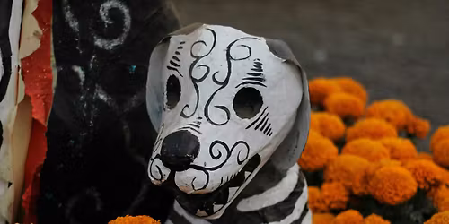 Paint Night: Honor Your Lost Pet This D\u00eda de los Muertos