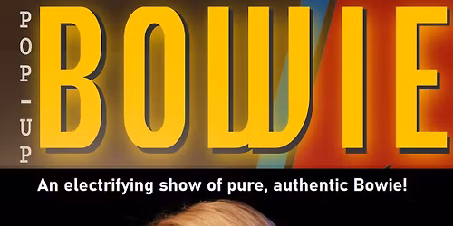 Pop Up Bowie @ The County Arms