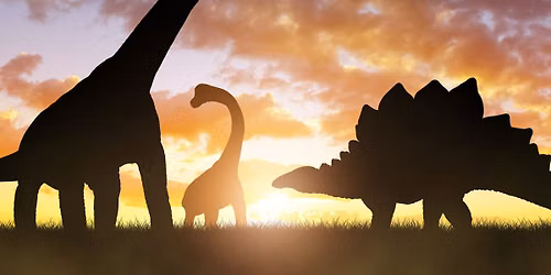 Dino-Mite Adventure Week