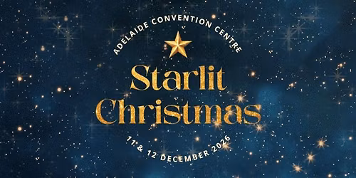 Starlit Christmas