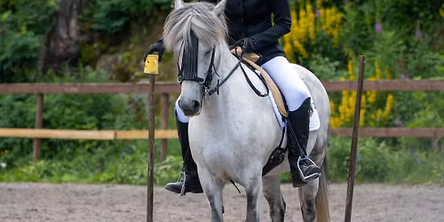 Working Equitation - \u00c5pen trening