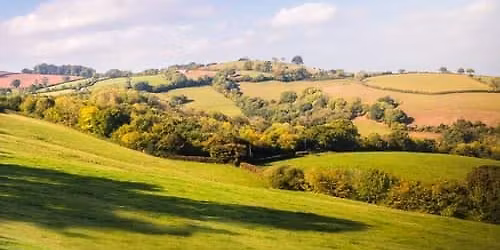 10-week Beginners French course