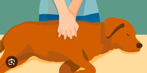 Canine CPR\/first aid