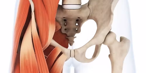 Psoas og Lyske