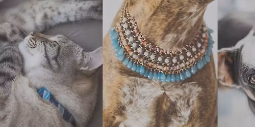 Sip, Shop & Sniff: VIP Member Shopping Event at Clayton