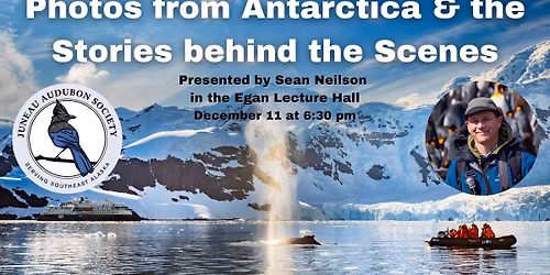 Photos from Antarctica & the Stories behind the Scenes