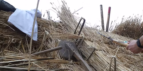 Thatching Spar training day: spars and sustaining thatching traditions