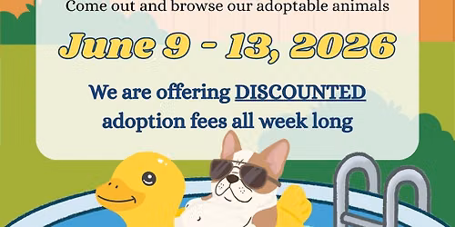 Summer Break Discount Week