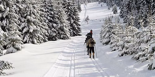 Winter Harz Adventure: Brocken Views & Forest Trails