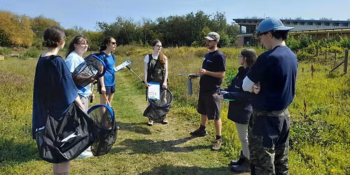 Young Trustee Training Workshop: Roles, Responsibilities & Decision-Making