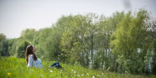 'A Restful Pause' Forest Bathing, College Lake - Sunday 09 November