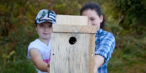 Abberton Bird Box Building