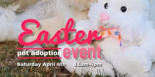 Egg-citing Adoptions Event!