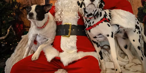 Pet-Friendly Photos with Santa