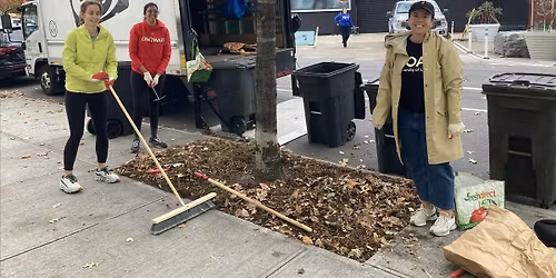 Street Tree Care  on Borden Avenue