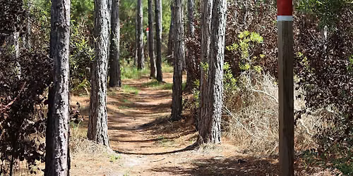 Guided Walk: CREW Flint Pen Strand Trails (Red Trail)